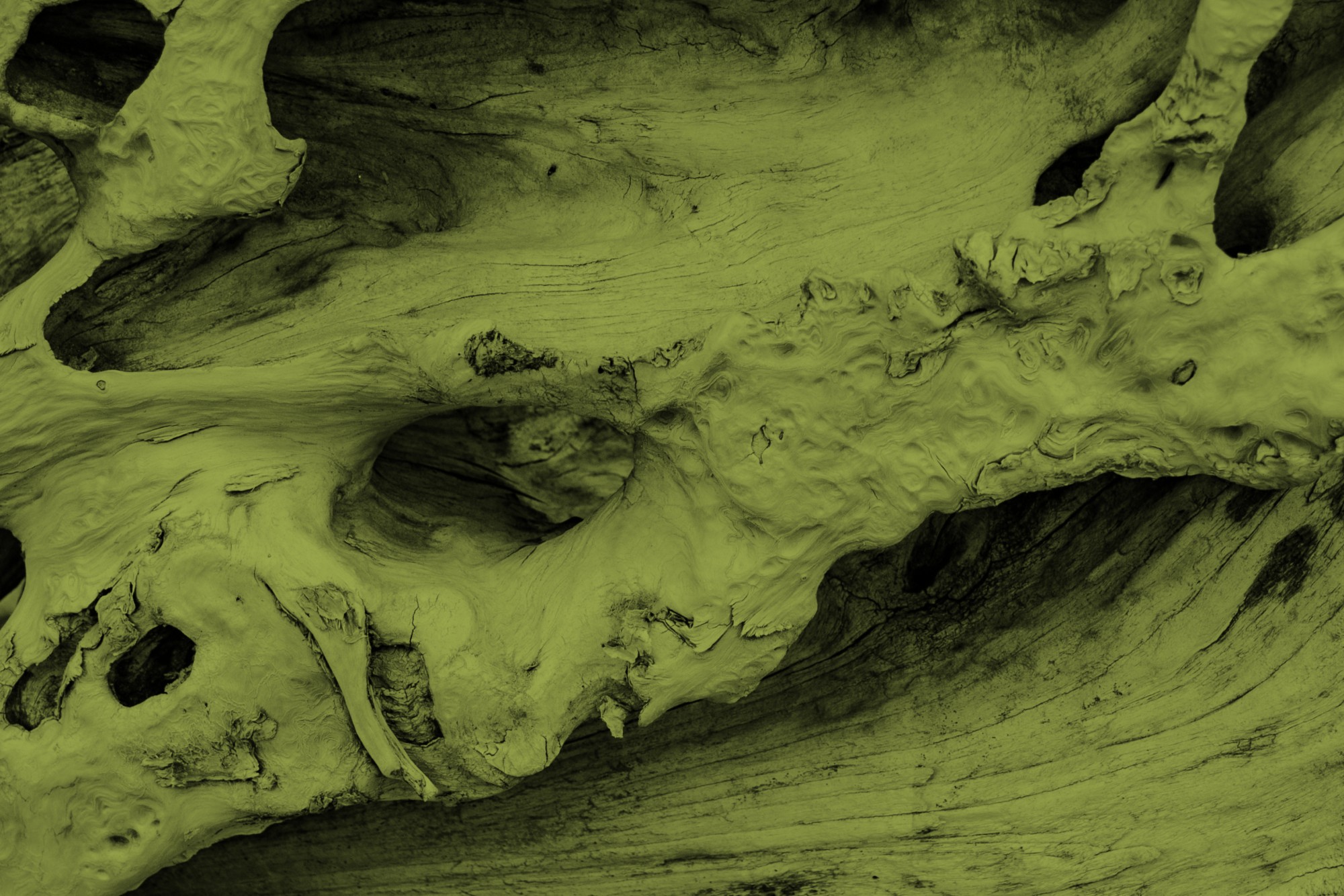 Biophilic Texture 1@2x (1)