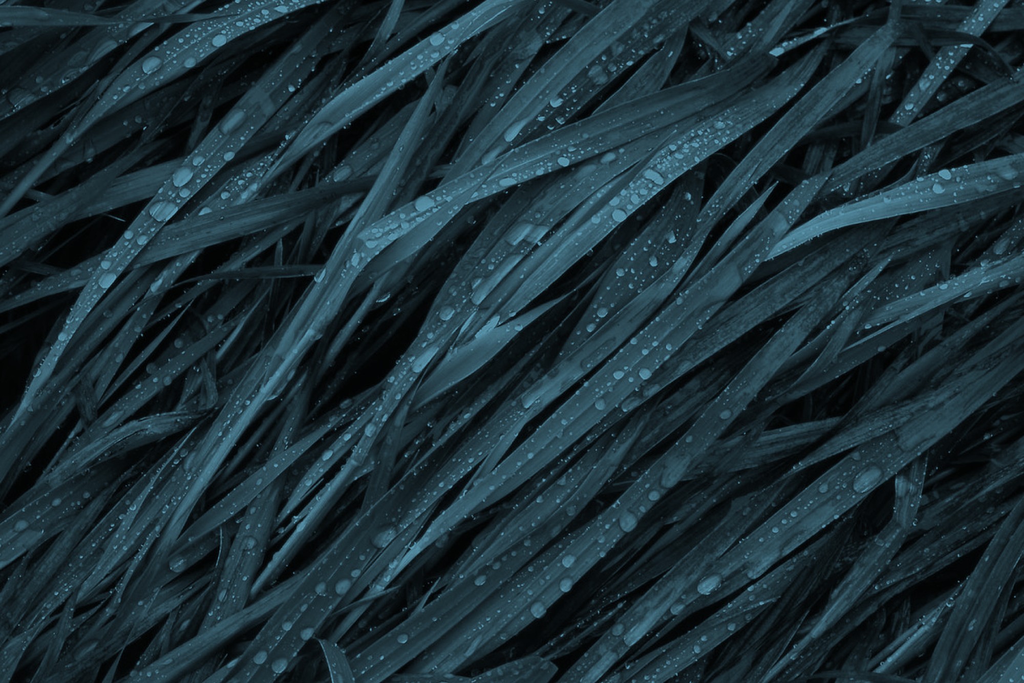 Biophilic Texture 2@2x