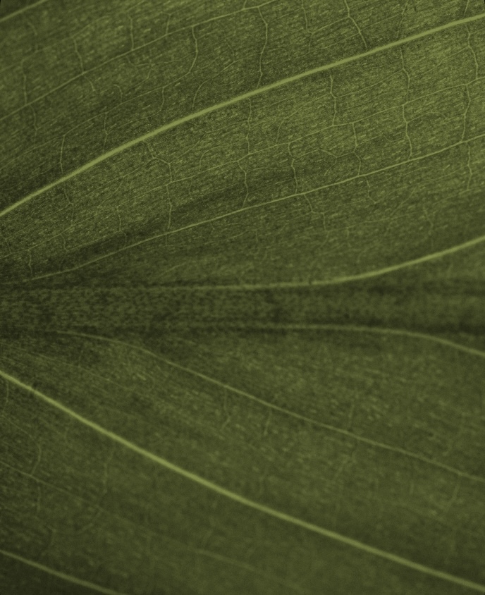 Get in touch with our team to learn more