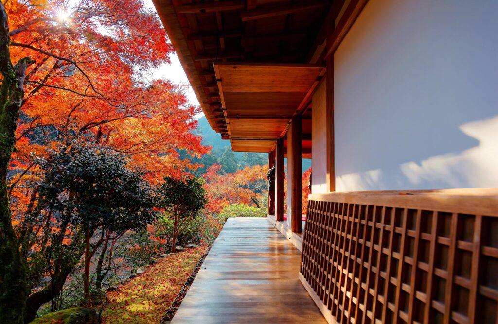 Japanese patio during the fall with maples trees with red leaves
