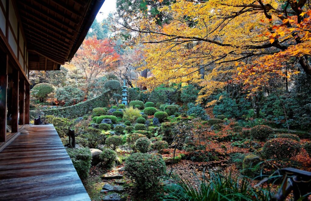 Japanese patio overlooking a tranquil garden with maple trees, shrubs, and moss