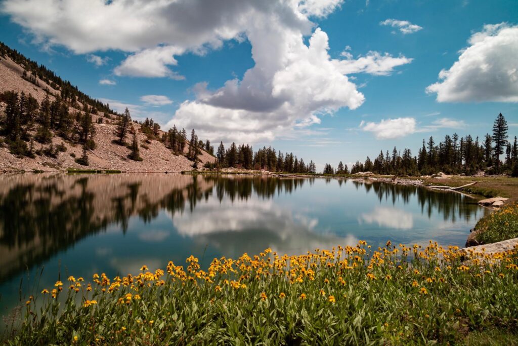 Johnson Lake in Great Basin National Park